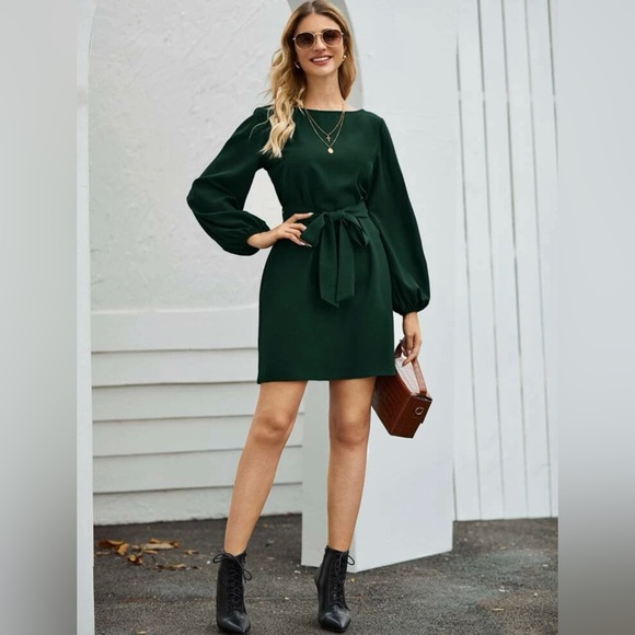 Dark Green Belted Dress - Picture 4 of 6
